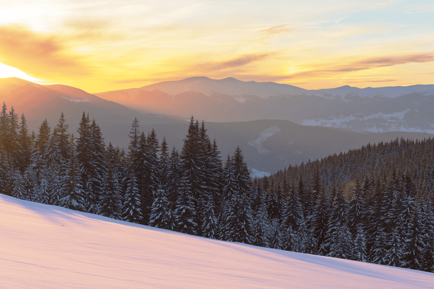 Ein atemberaubender Sonnenuntergang über einer verschneiten Berglandschaft. Der Himmel leuchtet in warmen Gelb- und Orangetönen, während die tief stehende Sonne die schneebedeckten Bäume und die weite Ebene in ein sanftes Licht taucht.